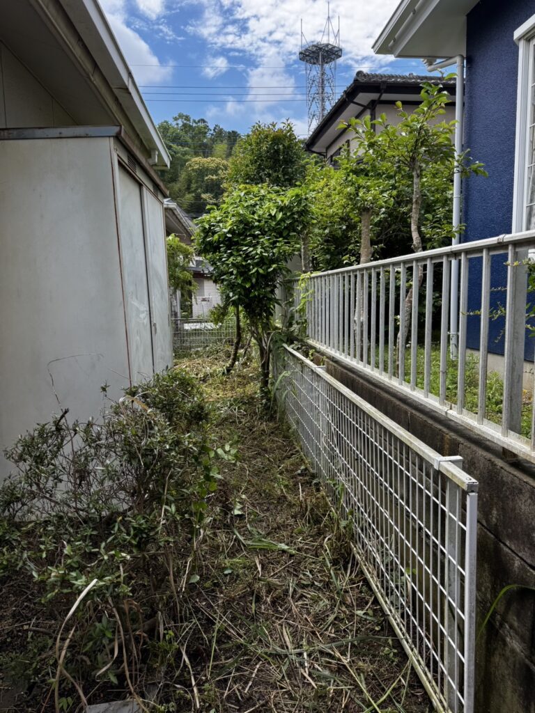 エスブロック　植栽撤去