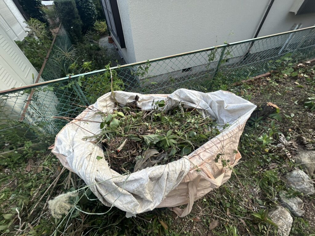 エスブロック　植栽撤去