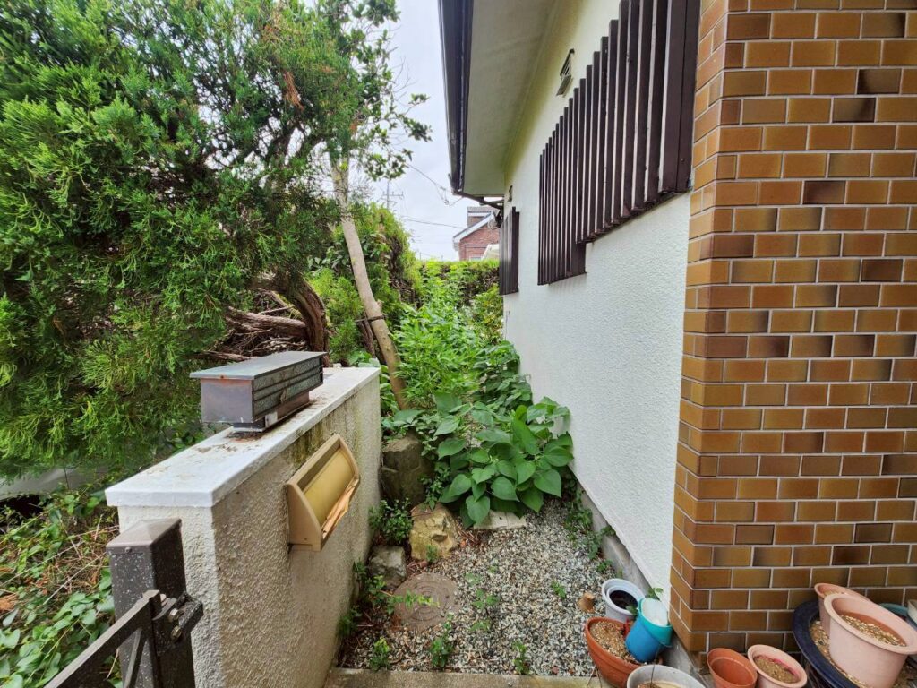 エスブロック　植栽撤去前